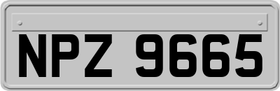 NPZ9665