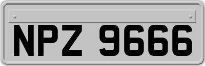 NPZ9666