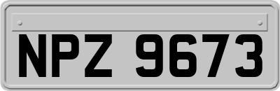 NPZ9673