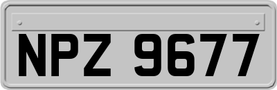 NPZ9677