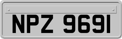 NPZ9691