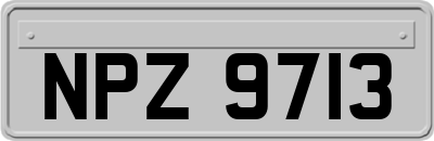 NPZ9713
