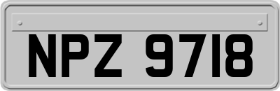 NPZ9718