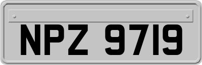 NPZ9719