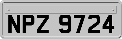 NPZ9724