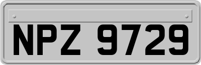 NPZ9729