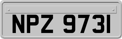 NPZ9731