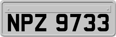 NPZ9733