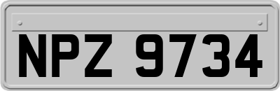 NPZ9734
