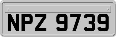 NPZ9739