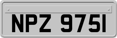 NPZ9751