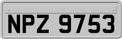 NPZ9753