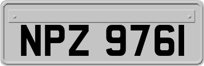 NPZ9761