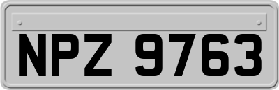NPZ9763