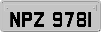 NPZ9781