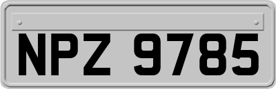 NPZ9785