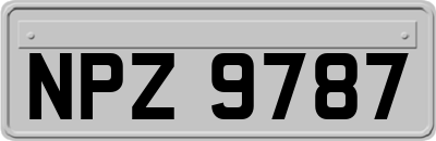 NPZ9787