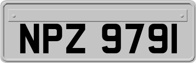 NPZ9791