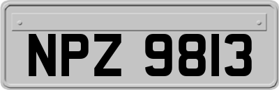 NPZ9813
