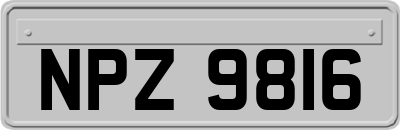 NPZ9816