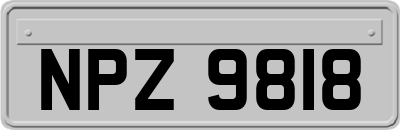 NPZ9818