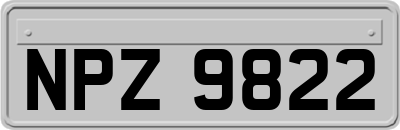 NPZ9822
