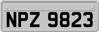 NPZ9823