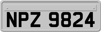 NPZ9824
