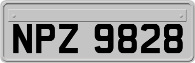 NPZ9828