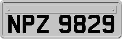NPZ9829