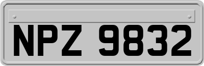 NPZ9832