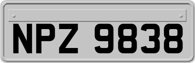 NPZ9838