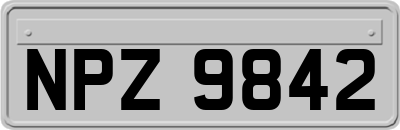 NPZ9842