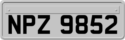 NPZ9852