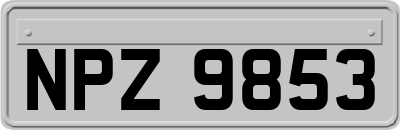 NPZ9853