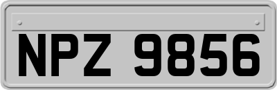 NPZ9856