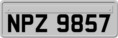 NPZ9857
