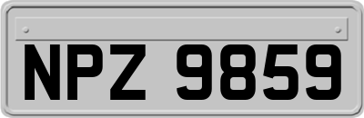 NPZ9859