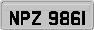 NPZ9861
