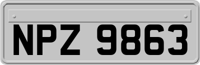 NPZ9863