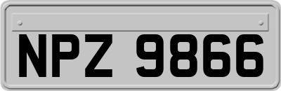 NPZ9866
