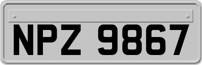 NPZ9867