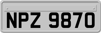 NPZ9870