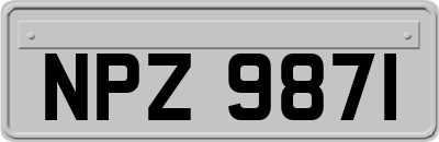 NPZ9871