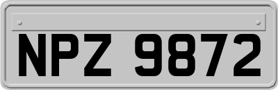 NPZ9872