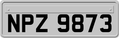 NPZ9873