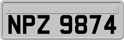 NPZ9874
