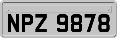 NPZ9878