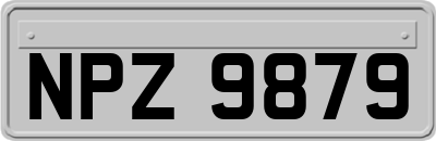 NPZ9879