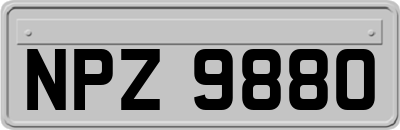 NPZ9880